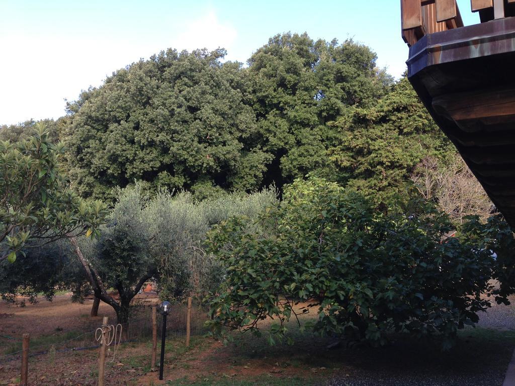 مبيت وإفطار ليريسي Agriturismo "La Rosa Canina" المظهر الخارجي الصورة